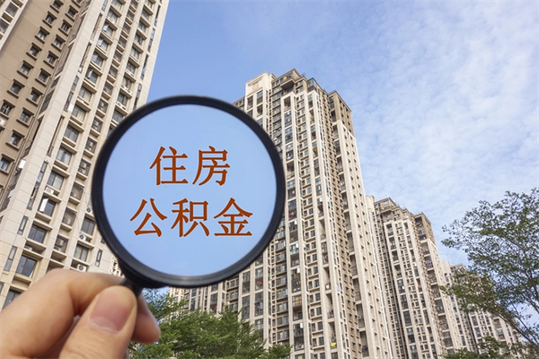 查询我的住房公积金-三门峡公积金代办平台